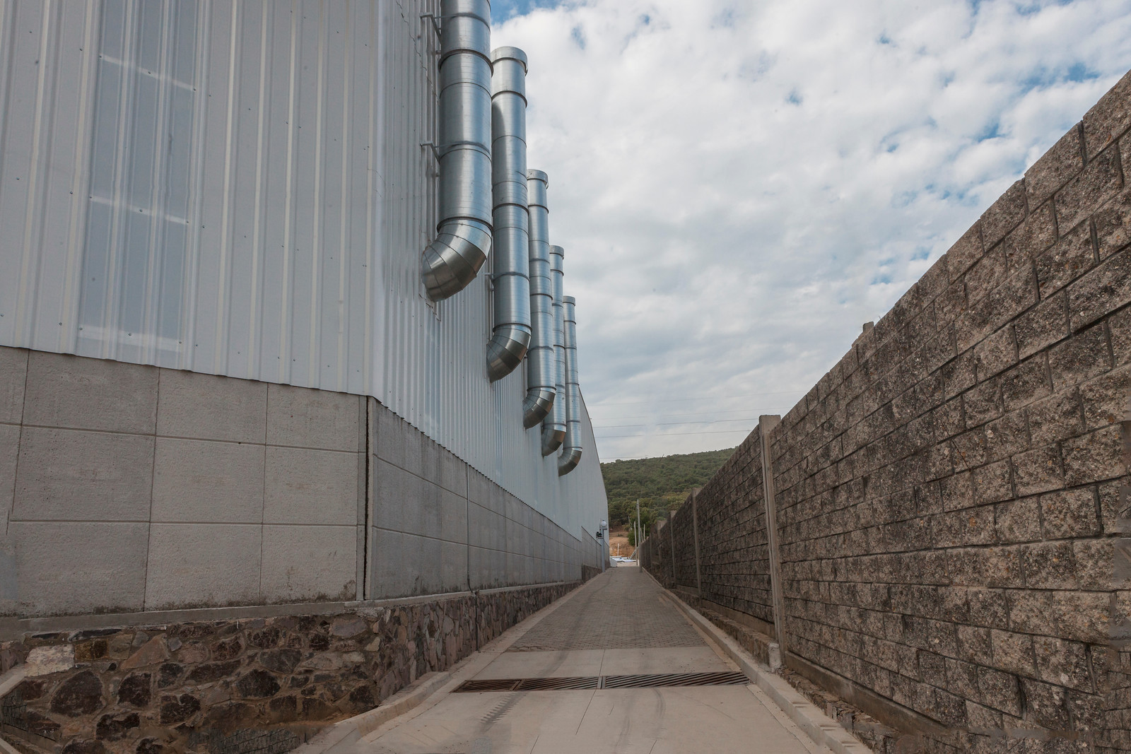 Vialidad de concreto hidráulico dentro del parque.